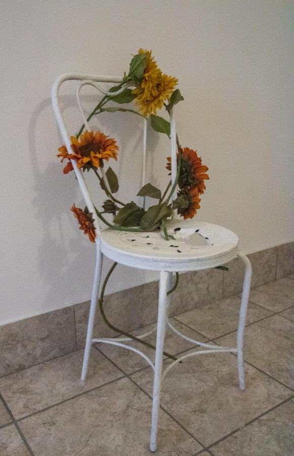 Appartamento Stella Lezzeno Extérieur photo